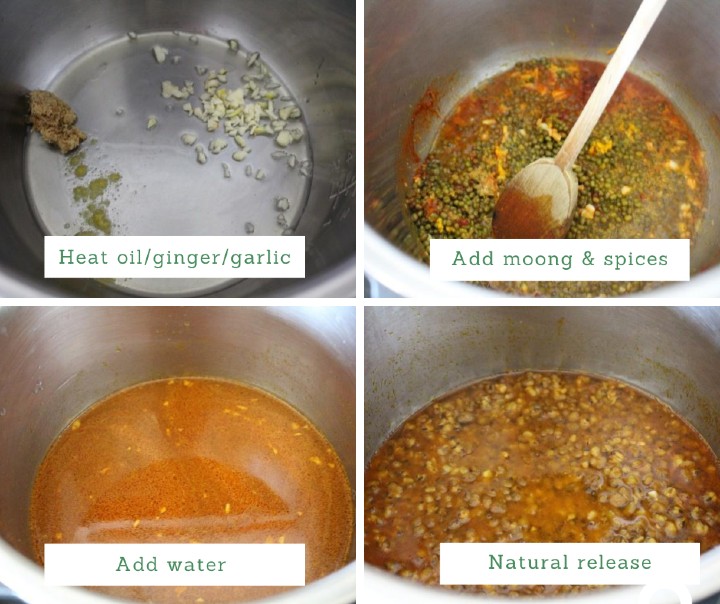 Instant Pot Green Moong Dal | Warrior In The Kitchen